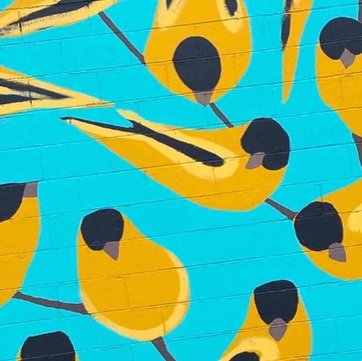 wall mural of yellow birds on a turquoise background in Greenville, SC