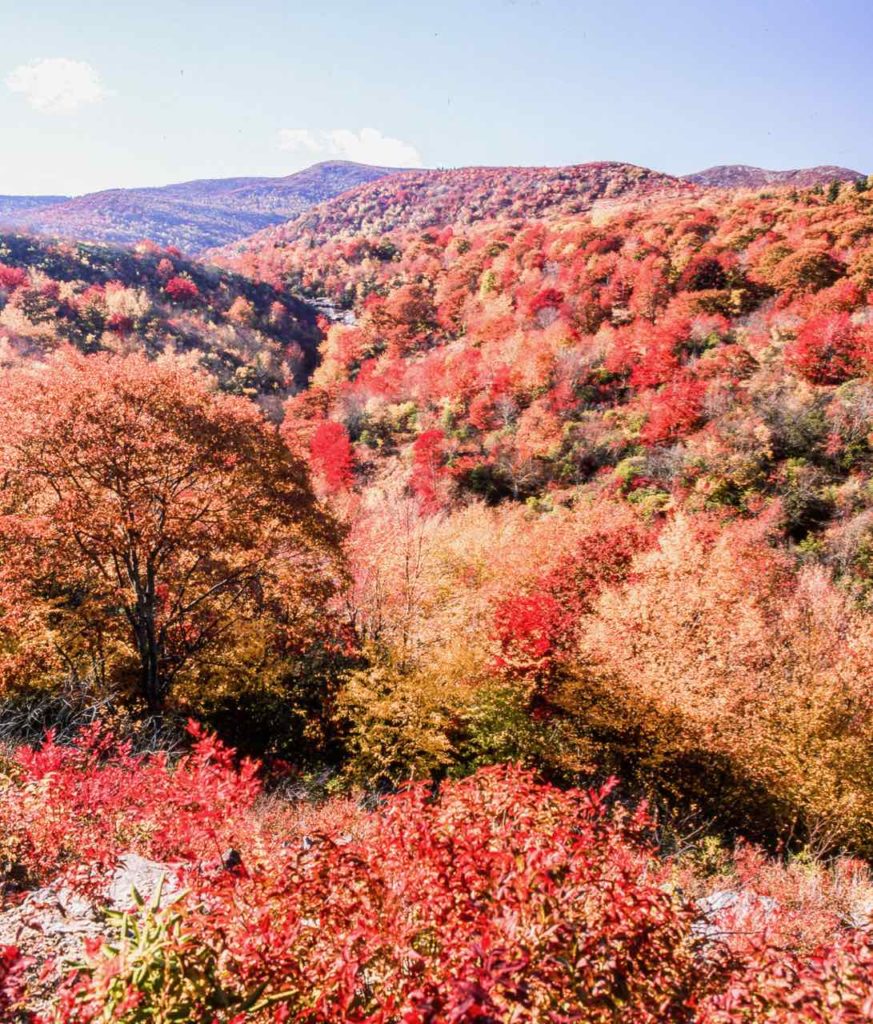 Red fall foliage in the North Carolina mountians.