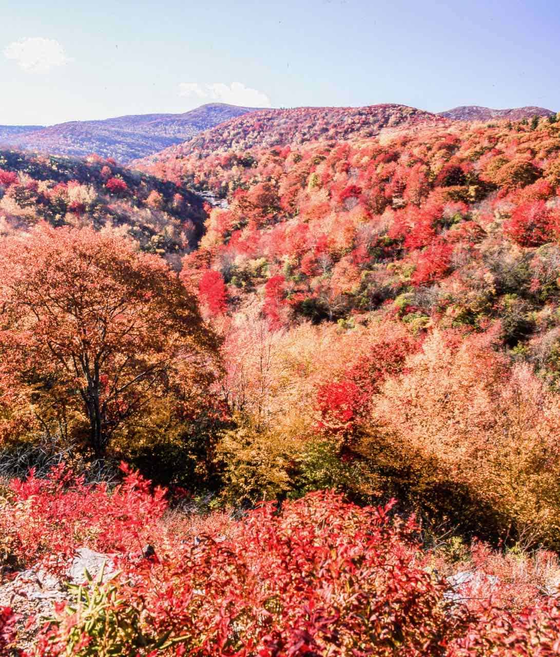 Fall in the South: Admire Autumn Without the Crowds