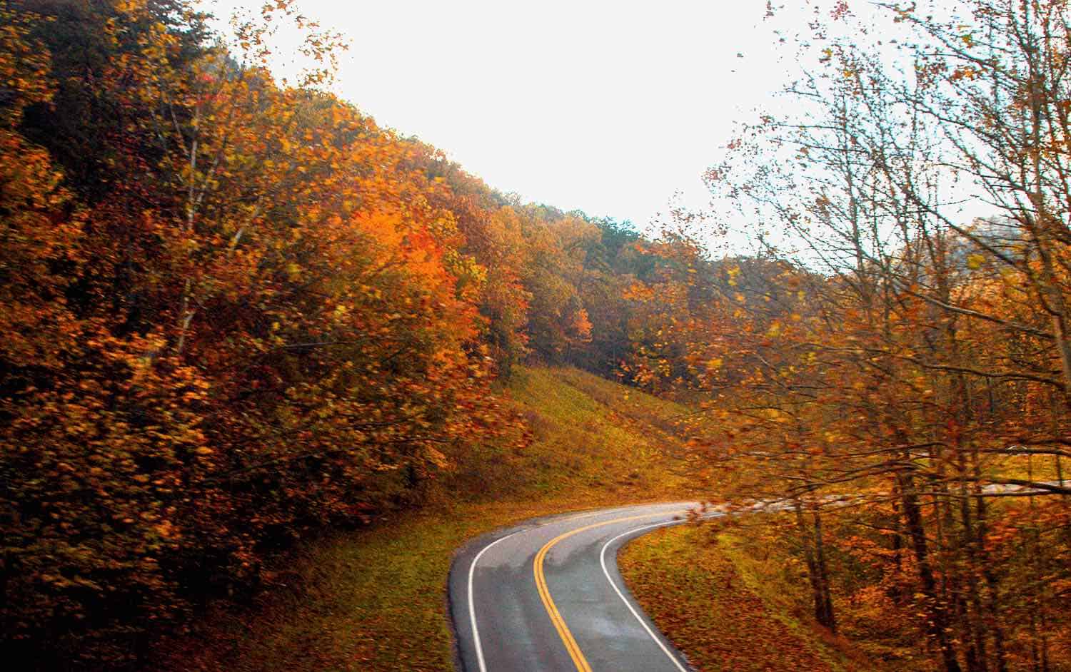Two-lane road curves through red and gold fall foliage
