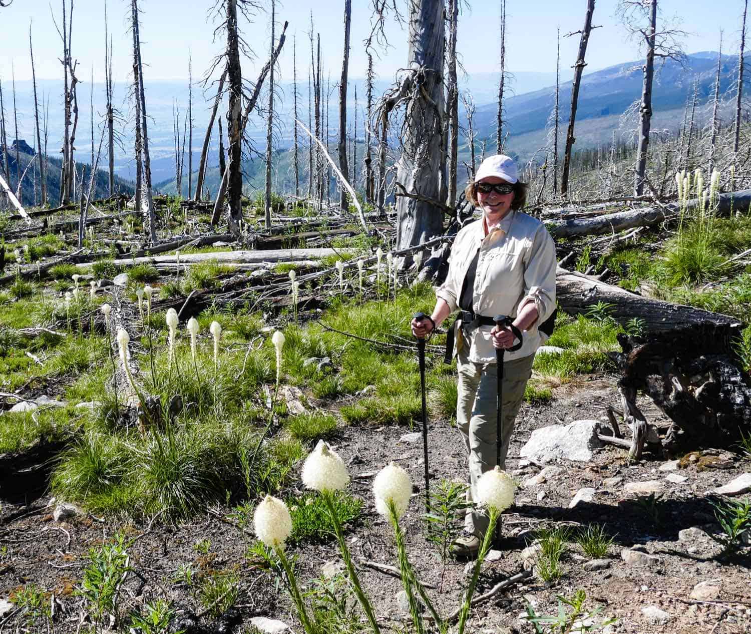 Hiking Gear for Boomers for Boomers Who Like to Hike