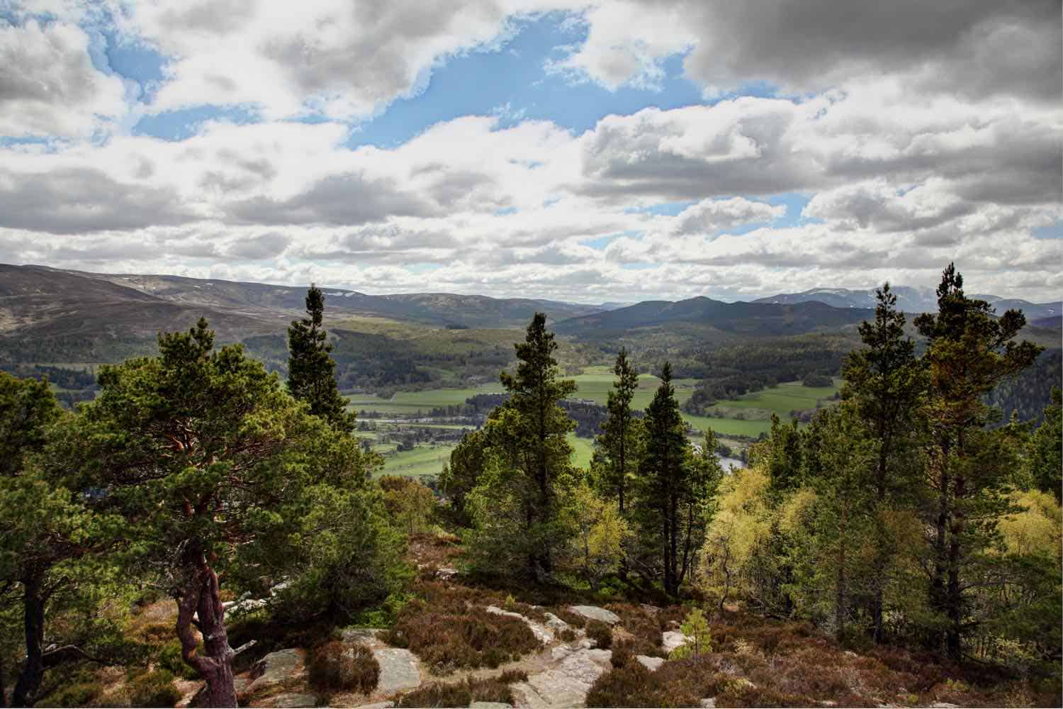 mountains and trees in Scotland