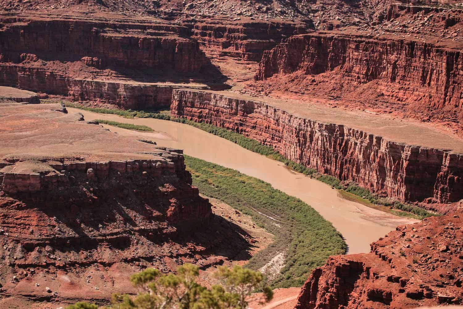 Section of muddy river winding through red cliffs at Dead Horse Point State Park.