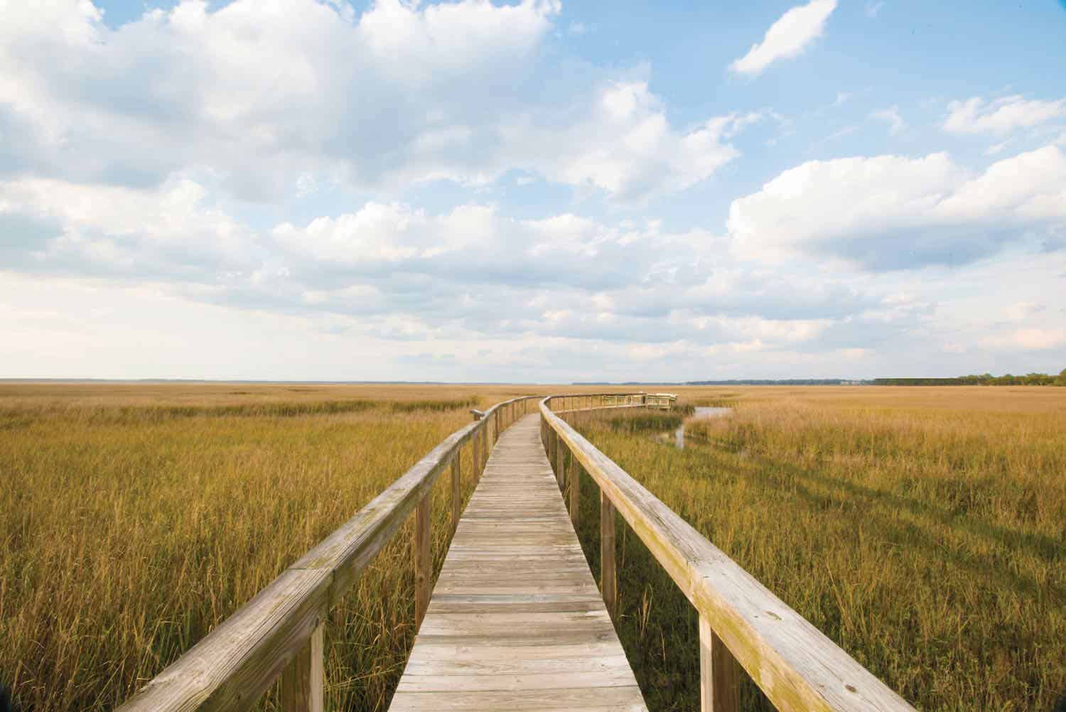 Wooden boardwalk leading out over a marsh filled with sea grass