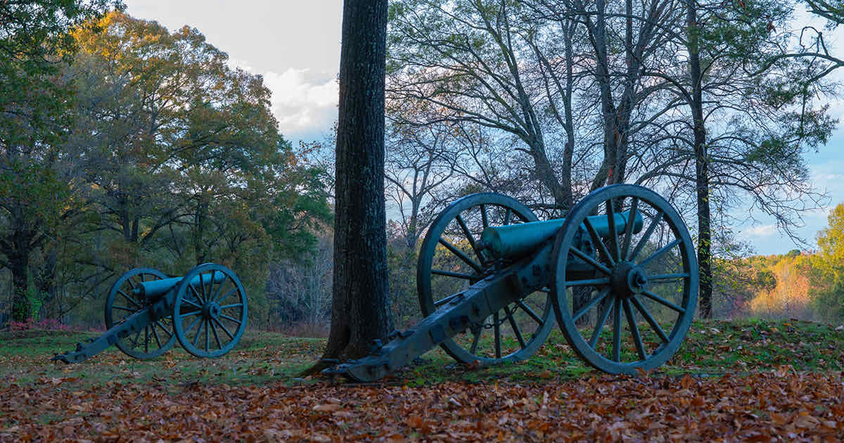 Two canons in the woods of a civil war battlefield.