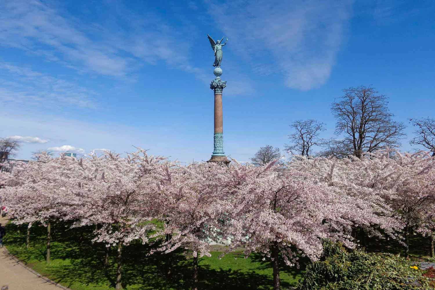 tall statue surrounded by pink cherry blossoms in Copenhagen, Denmark.