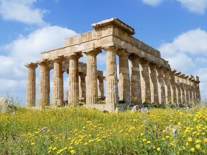 Greek columned ruins standing in a field of yellow flowers