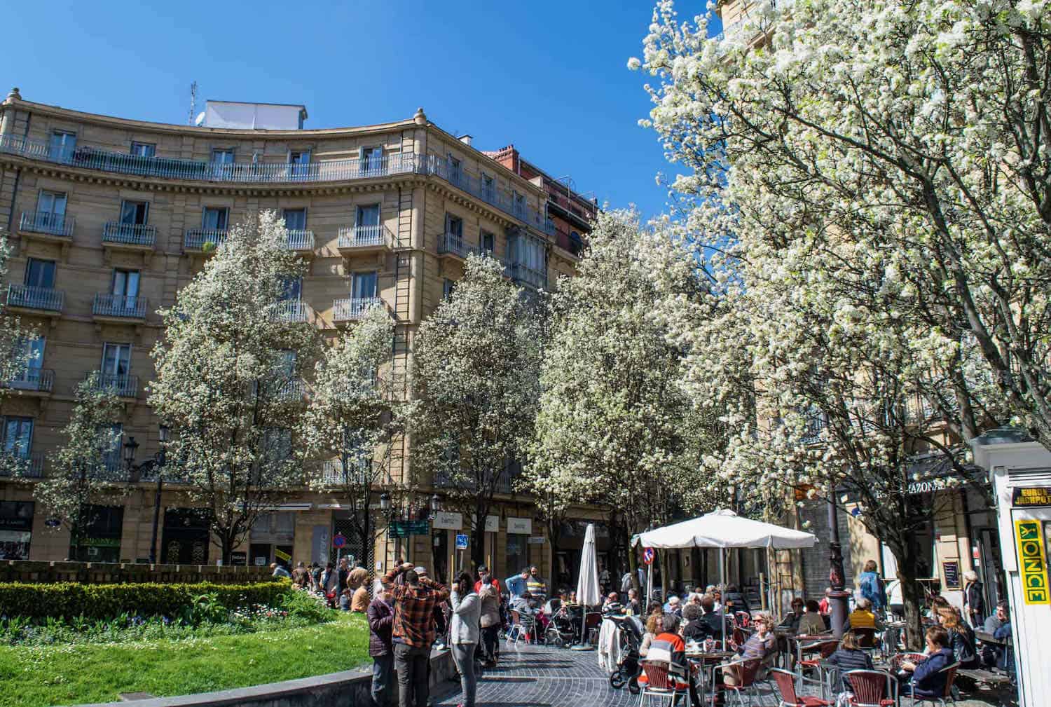 white blooming trees in a city with people sitting at a sidewalk cafe in San Sebastian, Spain.