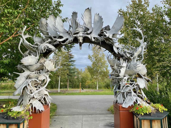Arch made of moose antlers
