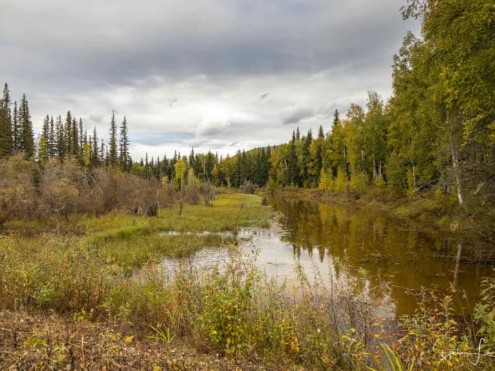 Best Things to Do in Fairbanks, Alaska for Boomer Travelers