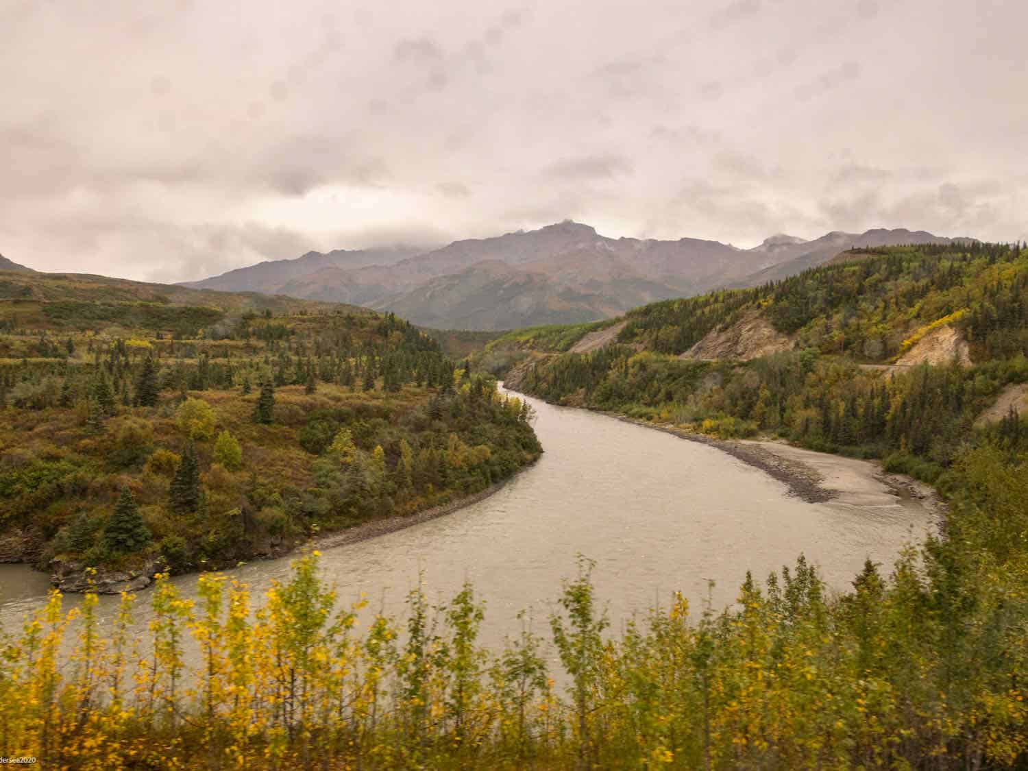 river with low hills of green and gold on both sides. Taller mountains in the distance on the train ride from Fairbanks to Denali.