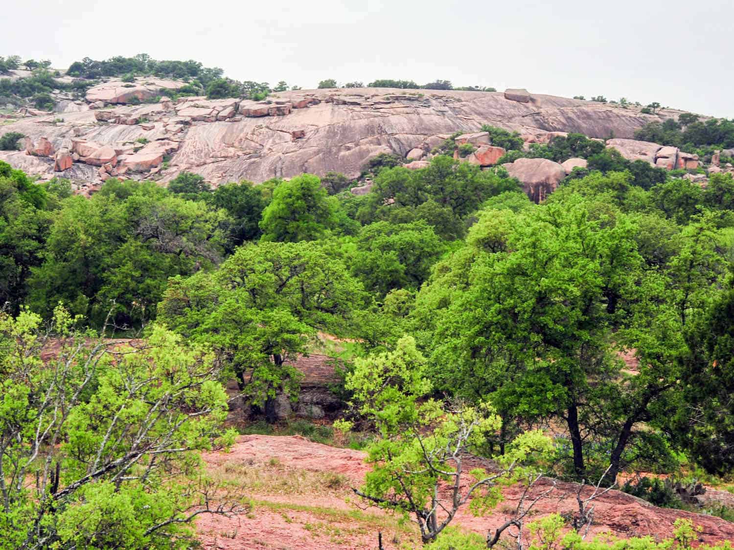 large stone hill with trees near it at Enchanted Rock State Natural Area.