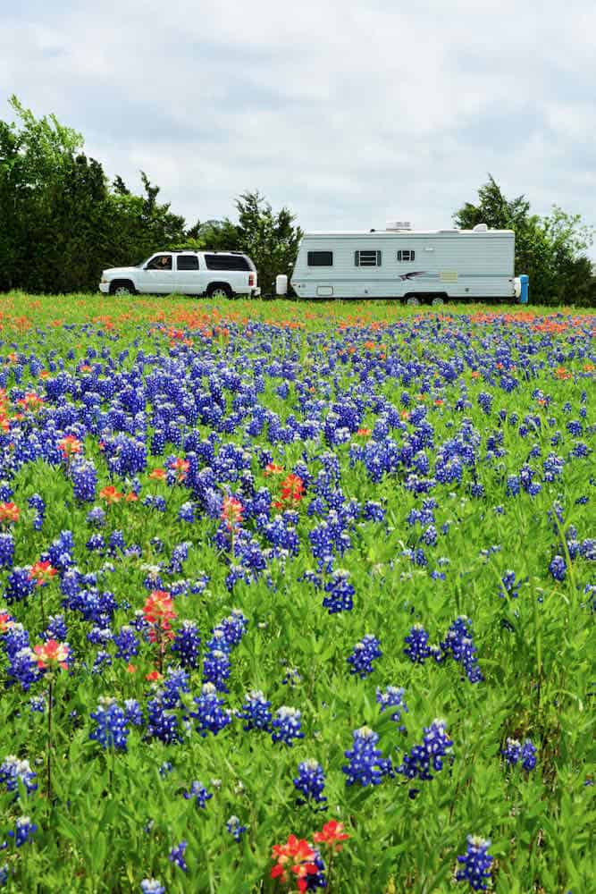 RV parked in front of a field of bluebonnets during a Texas bluebonnet road trip.
