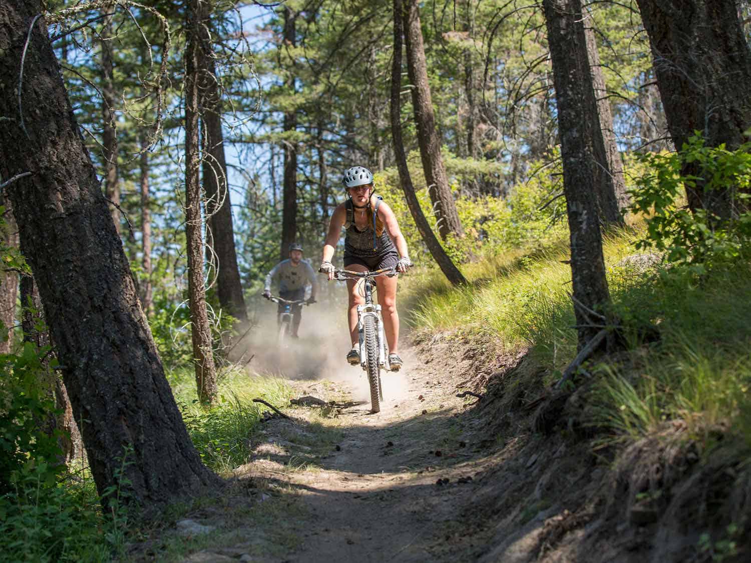 Two mountain bikers riding a trail in the woods.