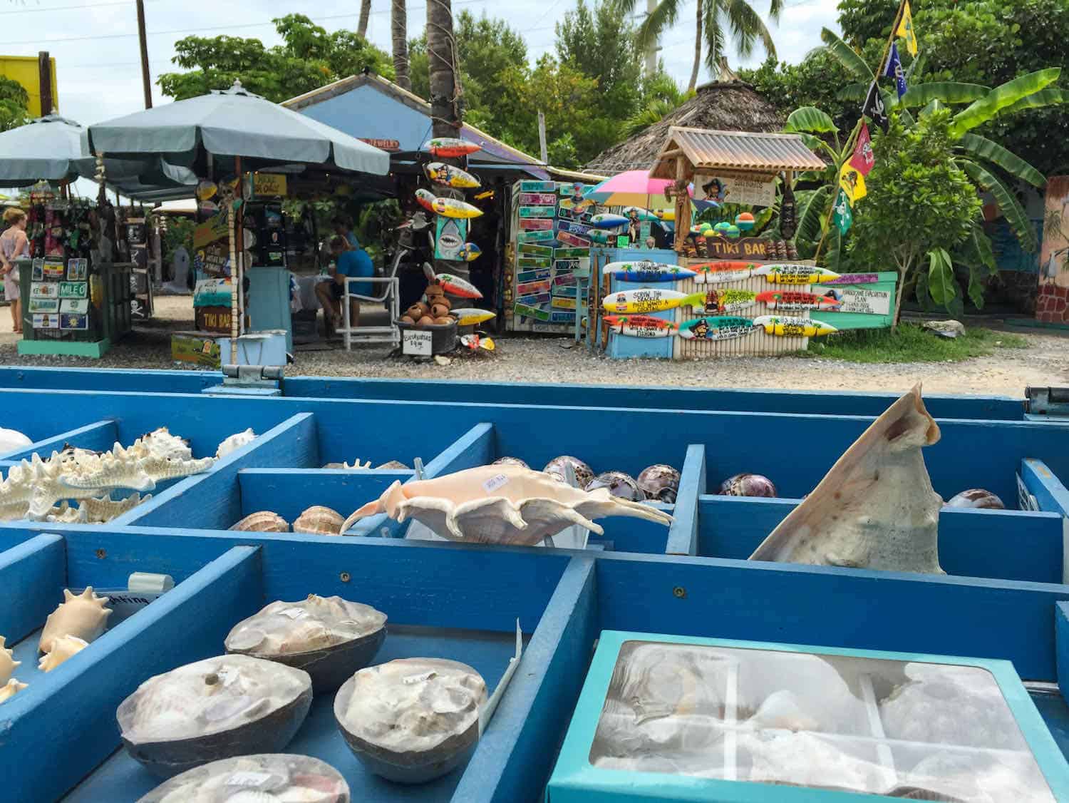 sea shells in a shopping display in Islamorado, Florida