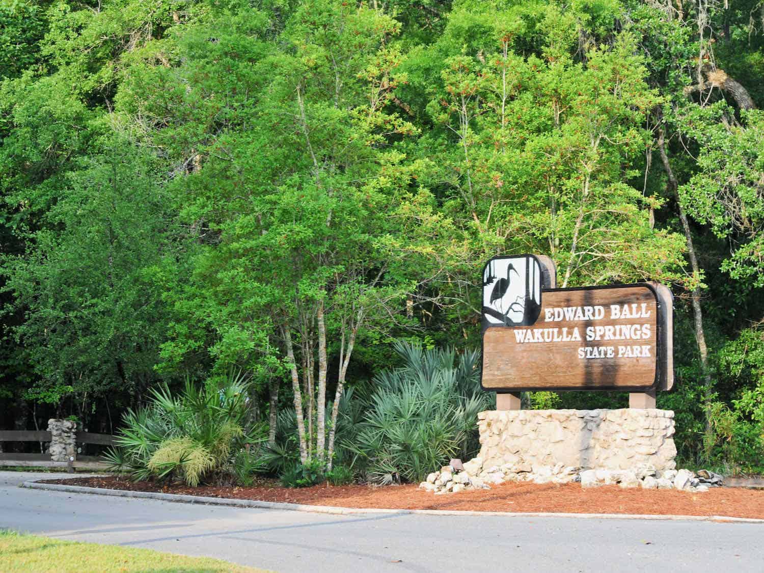 Driving the Big Bend Scenic Byway, make the turn onto the entrance road to Edward Ball Wakulla Springs State Park. A forest of trees surrounds the state park sign.