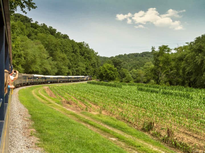 A train negotiates a curve in the tracks through farmland near Blue Ridge, GA.