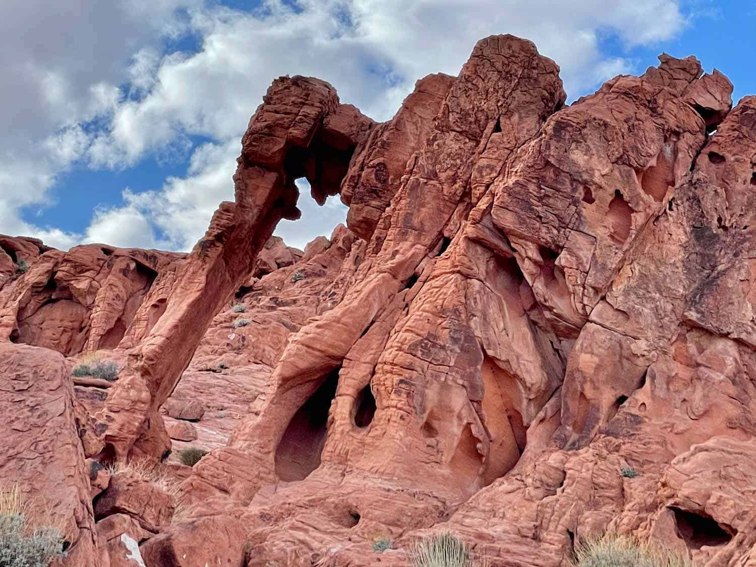 A red rock formation that looks like an elephant in Valley of Fire State Park Nevada.