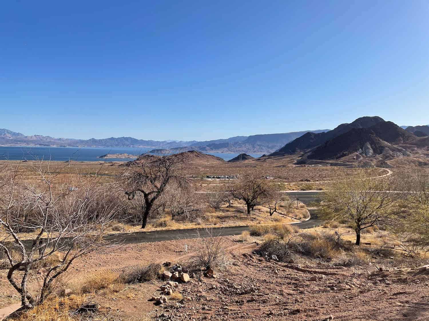 The high desert populated by a few scraggly trees at Lake Mead National Recreation Area.