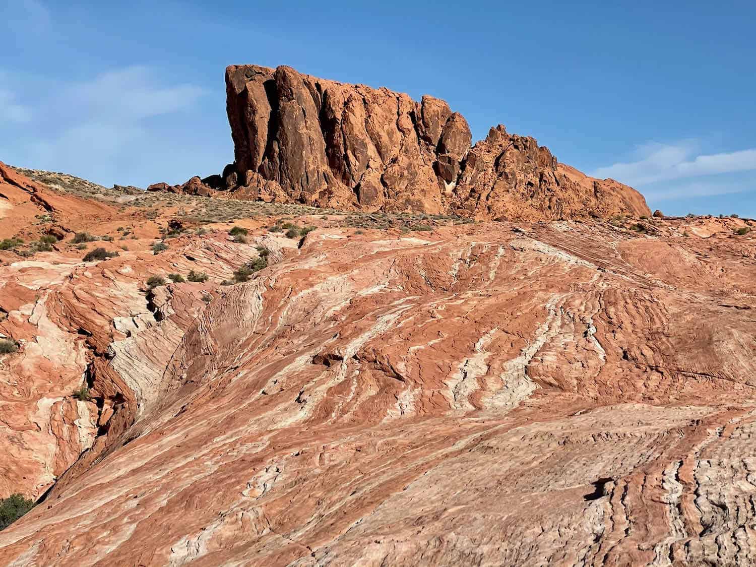 A row of red rocks stick up from the landscape creating a wall on the Fire Wave Trail in Valley of Fire State Park Nevada.