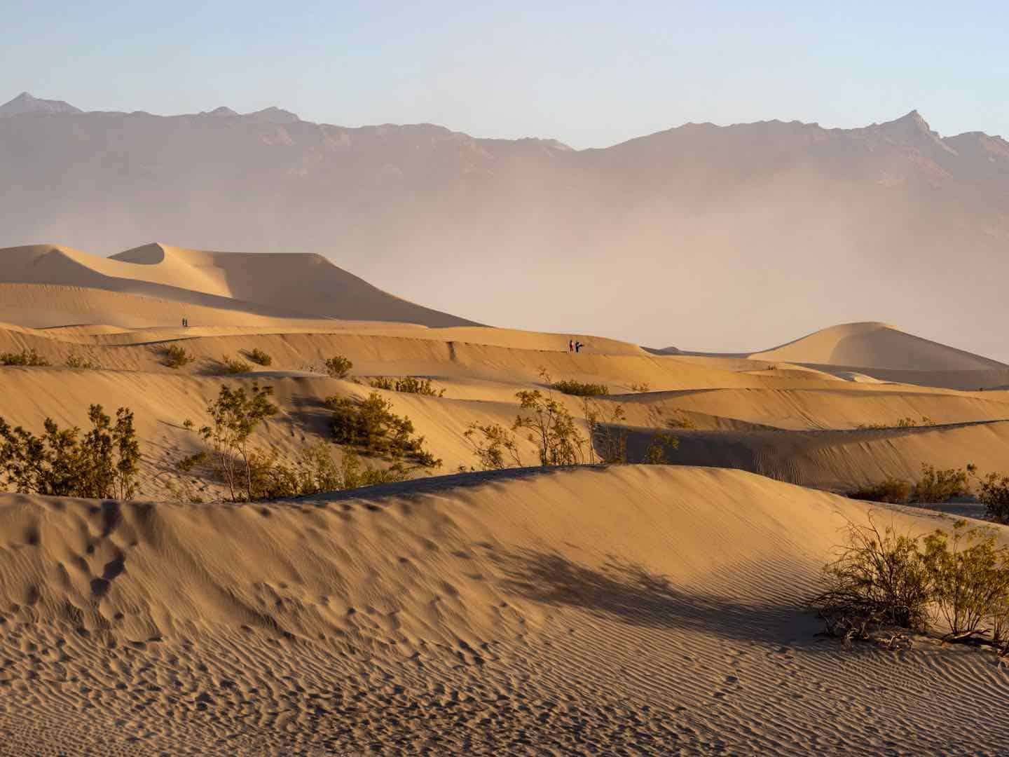 The beige sand dunes undulate across the landscape at Mesquite Dunes in Death Valley.