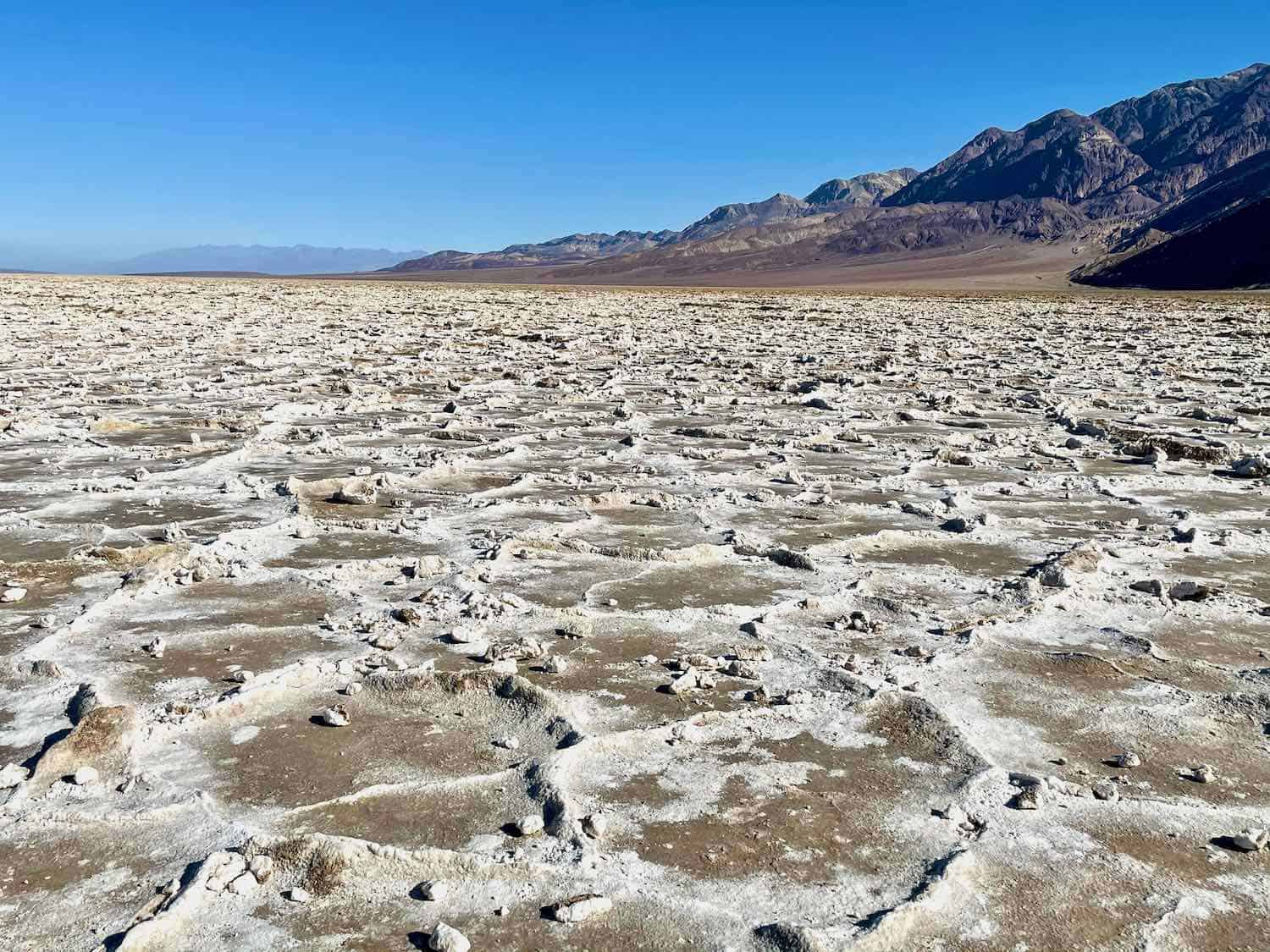 Salt crystals form in the desert at Death Valley National Park.