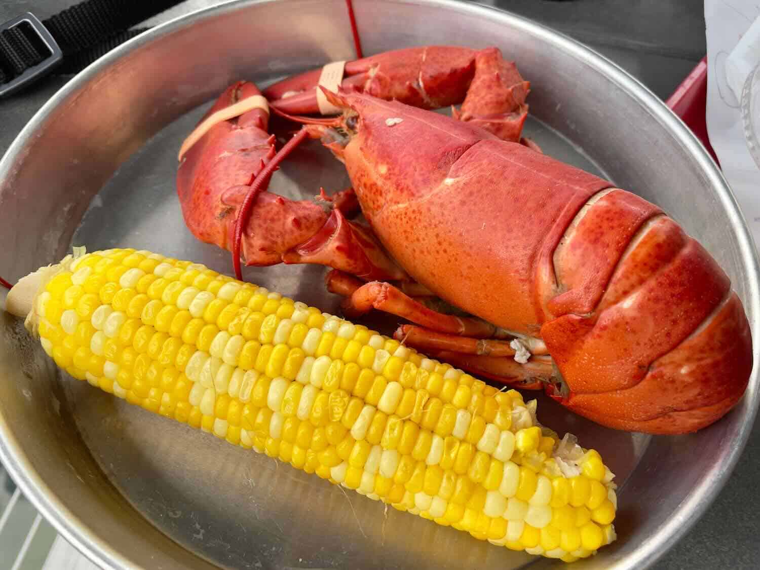 A silver metal plate holds a large orange lobster and one yellow corn on the cob at Thurston's Lobster Pond in Maine.