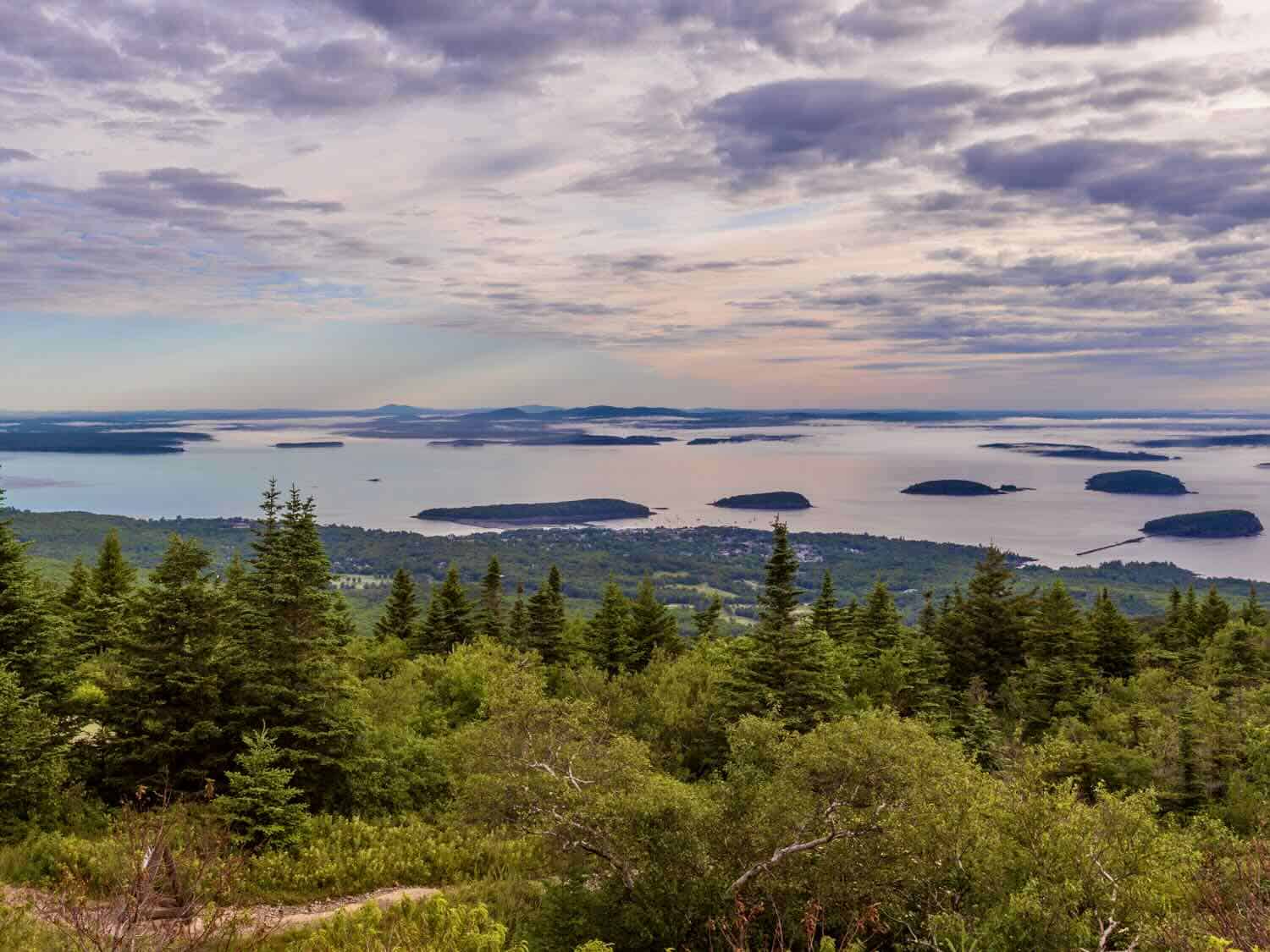 From the summit of Cadillac Mountain, you see evergreen trees on a hillside that slopes to the ocean with many small islets in the water.