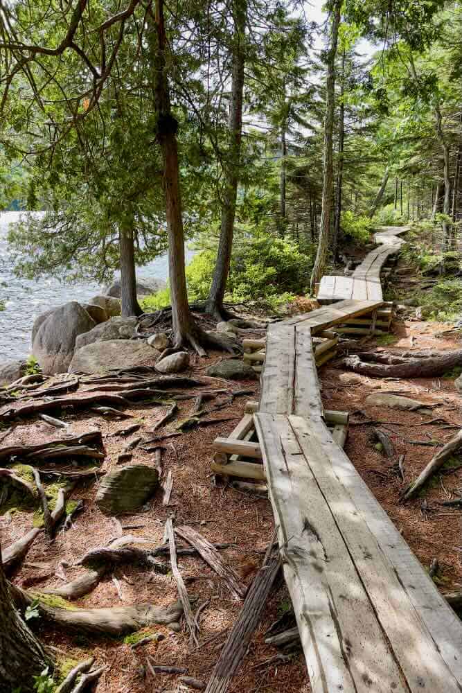 A narrow wooden path leads through the woods next to a pond in Acadia National Park.
