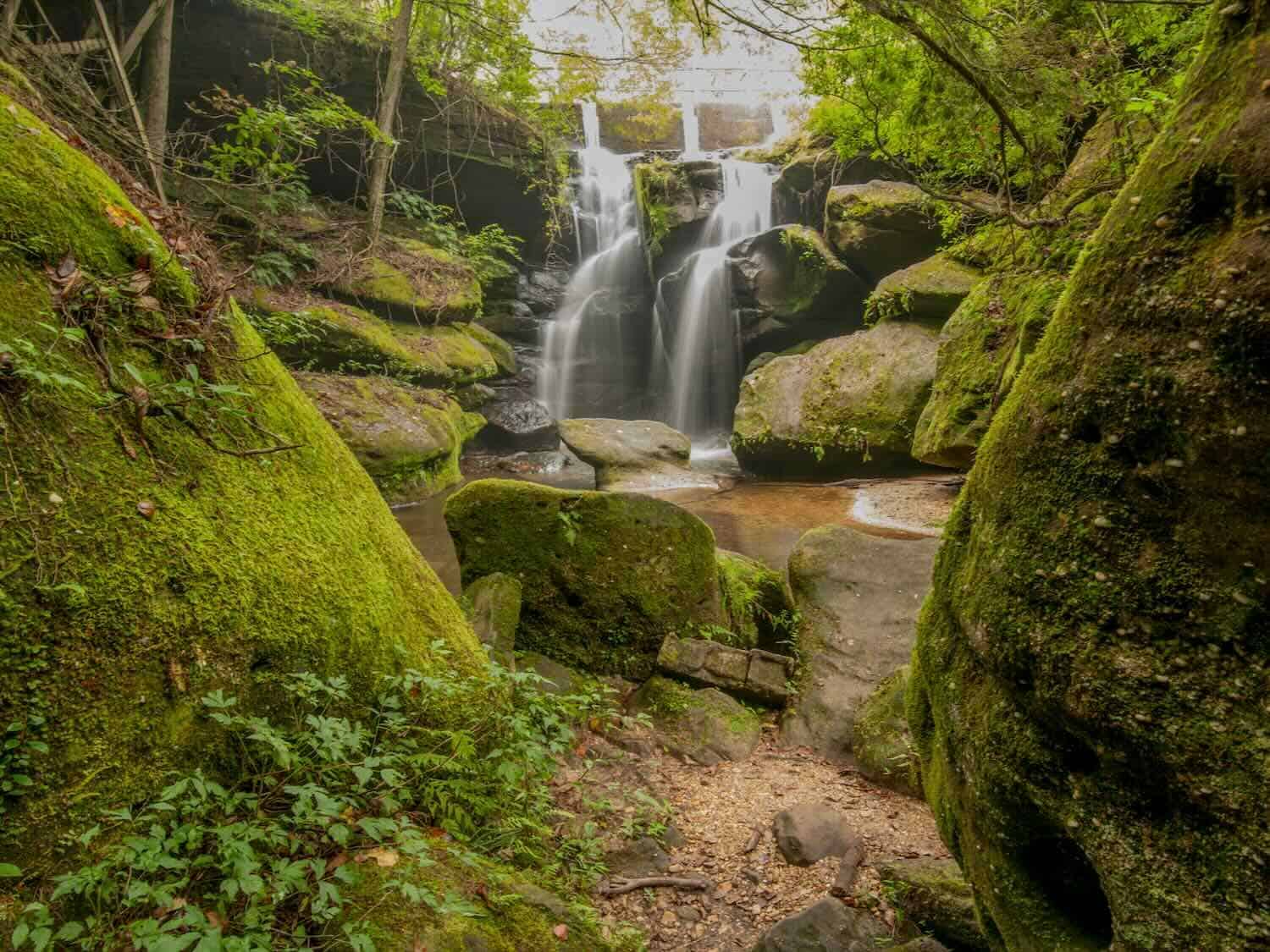 Dismals Canyon: Off-the-Beaten-Path in Alabama